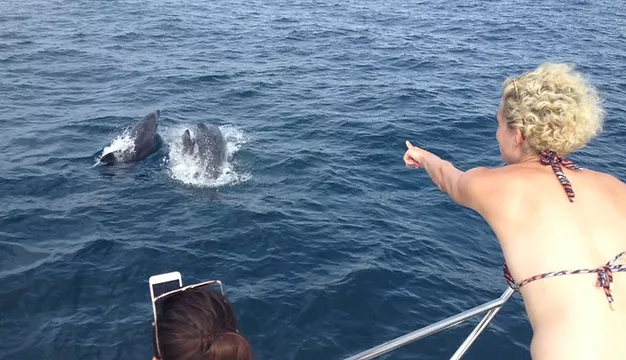 Private vs Group Boat Tours: Which Should You Choose?